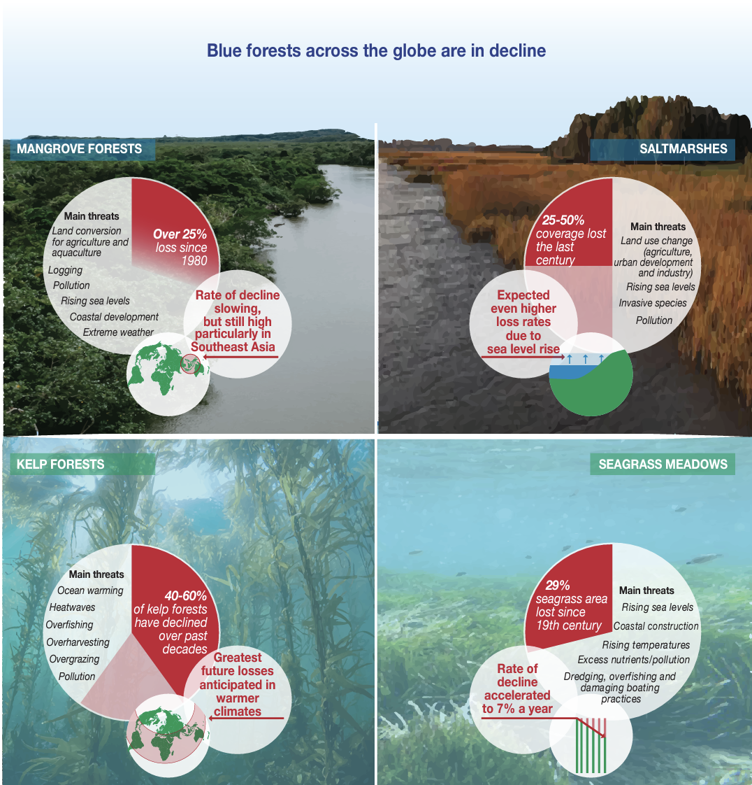Ripple effects of further loss of blue forest Norwegian Blue Forests