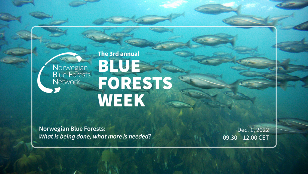 Norwegian blue forests: What is being done, what more is needed?
