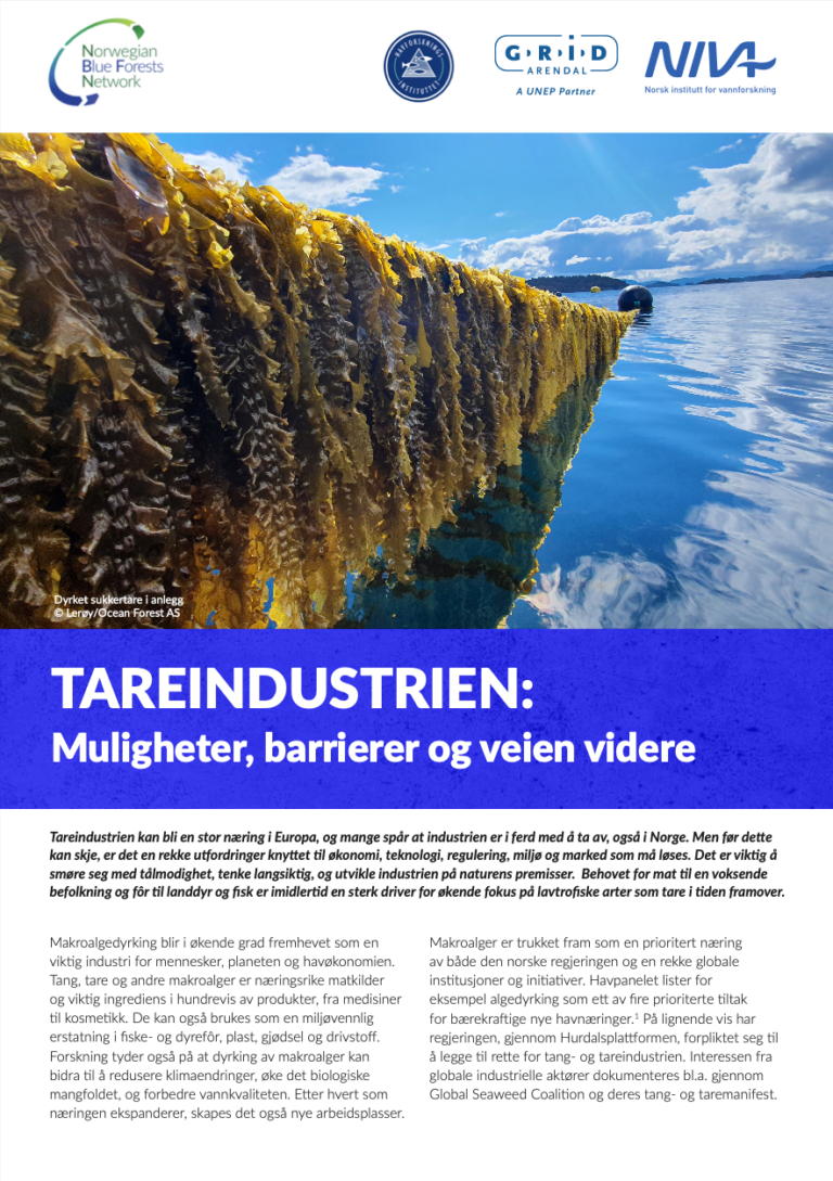 The Kelp Industry: Opportunities, barriers & next steps | Norwegian ...
