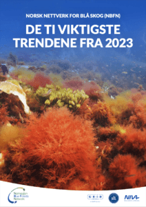 Topp 10 Trender rapport