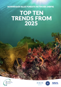 Top Ten Trends report 2025 cover